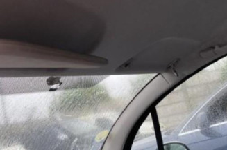 Malle/Hayon arriere CITROEN C3 1