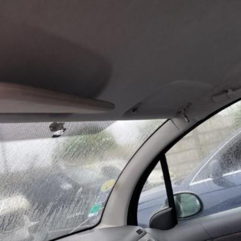 Malle/Hayon arriere CITROEN C3 1 Photo n°19
