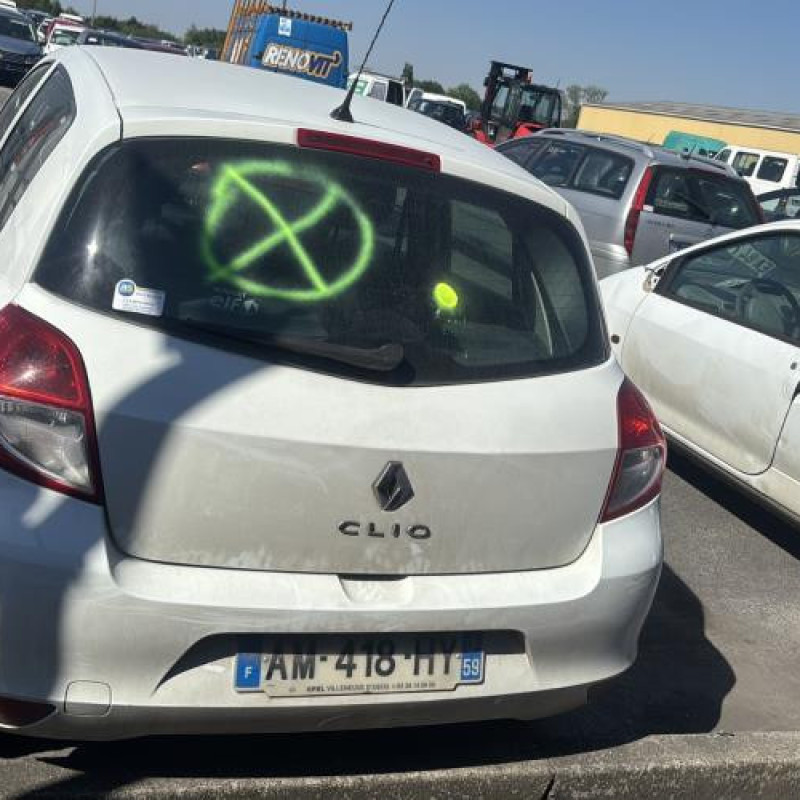 Malle/Hayon arriere RENAULT CLIO 3 Photo n°16