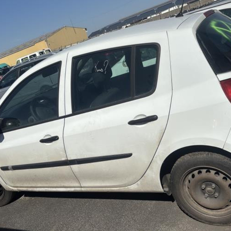 Malle/Hayon arriere RENAULT CLIO 3 Photo n°17