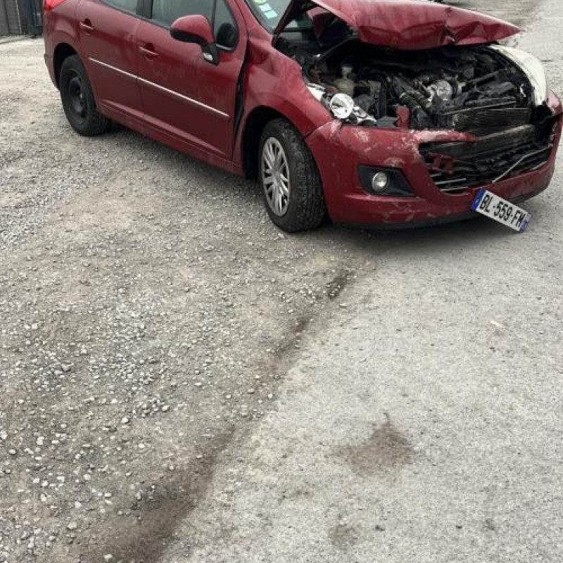 Porte arriere droit PEUGEOT 207 Photo n°8