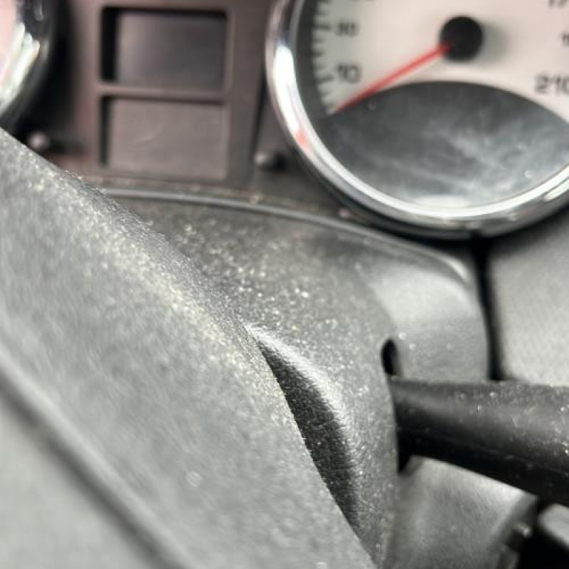 Porte arriere droit PEUGEOT 207 Photo n°16