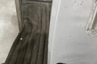 Porte arriere gauche RENAULT CLIO 2 CAMPUS