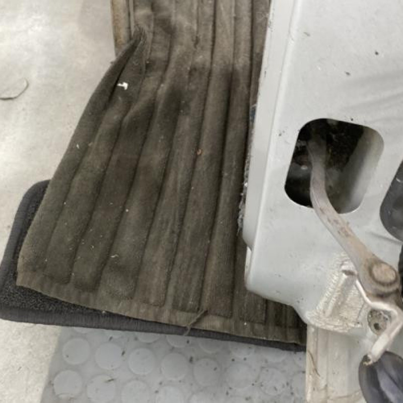 Porte arriere gauche RENAULT CLIO 2 CAMPUS Photo n°3