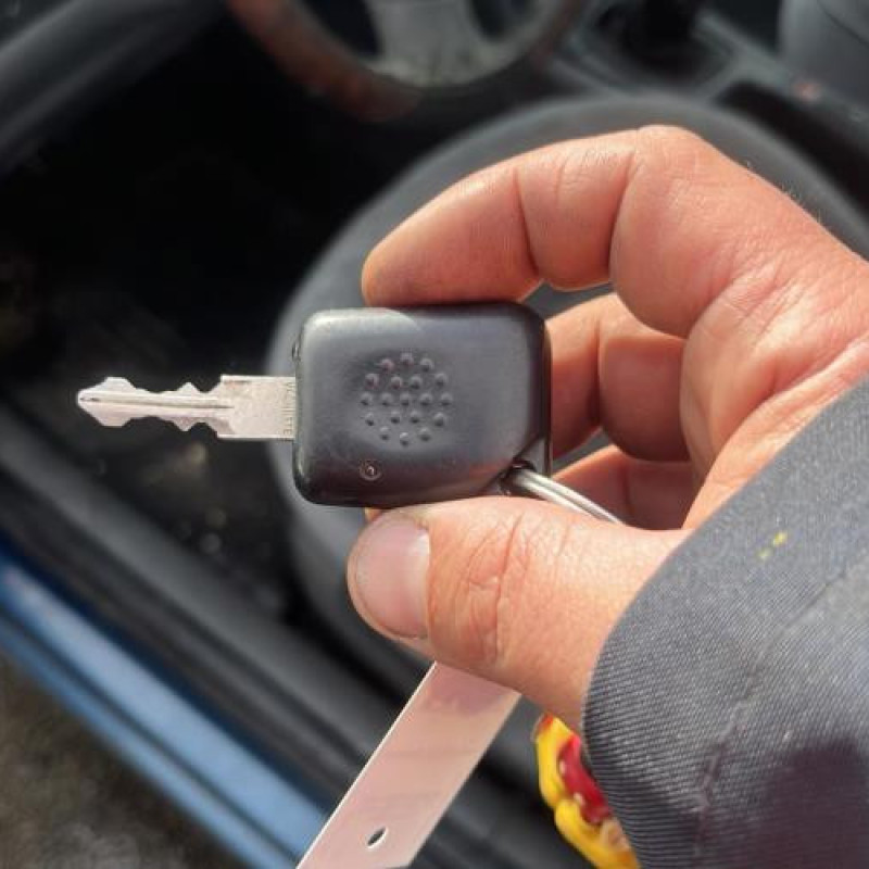 Porte avant droit RENAULT LAGUNA 1 Photo n°9