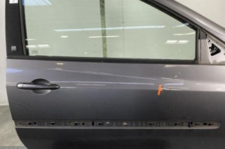 Porte avant droit RENAULT CLIO 3 Photo n°1