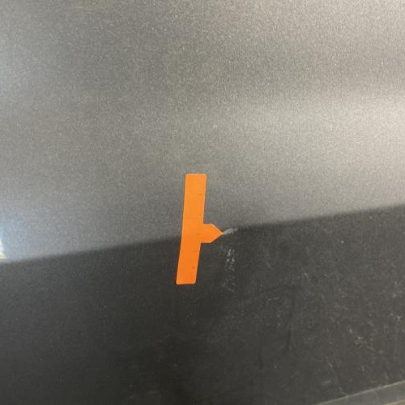 Porte avant droit RENAULT CLIO 3 Photo n°3