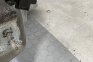 Porte avant droit RENAULT CLIO 3