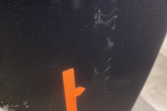 Porte avant gauche MERCEDES CLASSE A 169