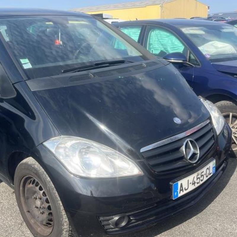 Porte avant gauche MERCEDES CLASSE A 169 Photo n°11