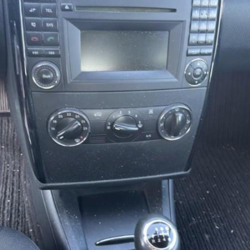 Porte avant gauche MERCEDES CLASSE A 169 Photo n°12