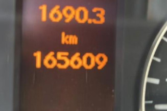 Porte avant gauche MERCEDES CLASSE A 169