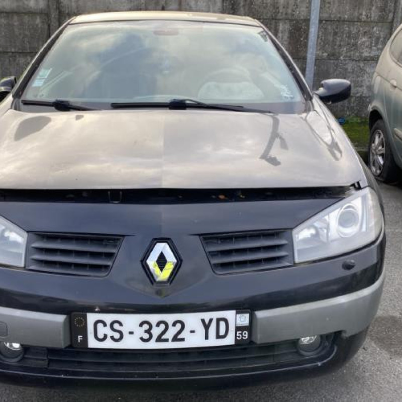 Custode arriere droit RENAULT MEGANE 2 Photo n°12