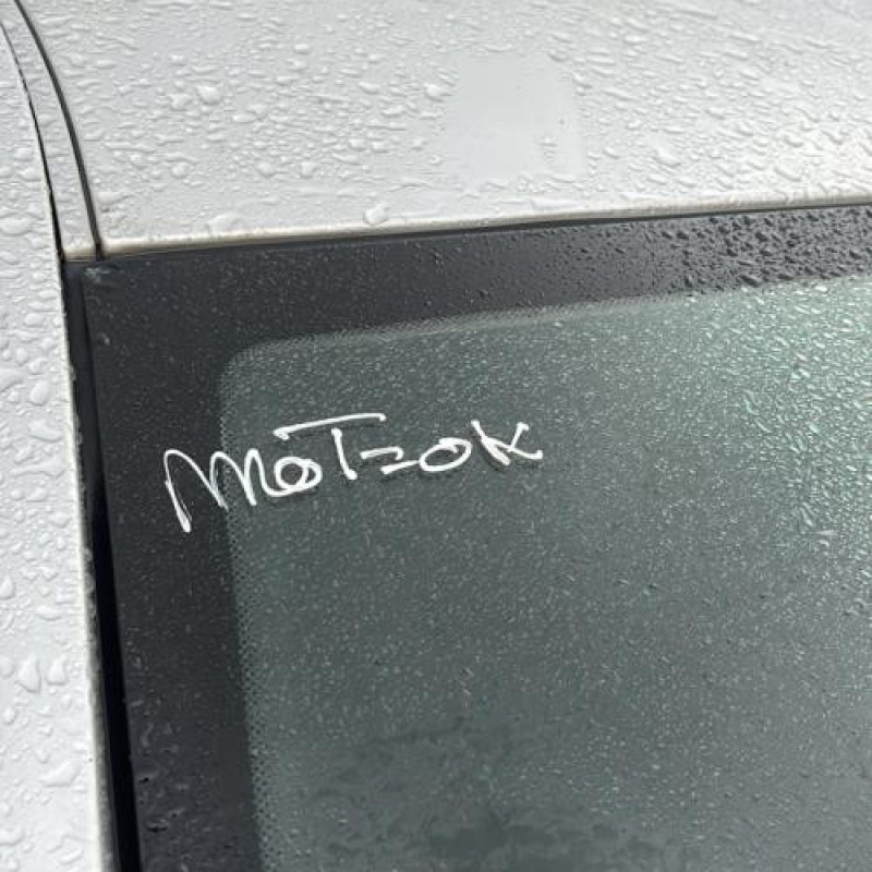 Porte arriere droit RENAULT LAGUNA 3 Photo n°6