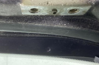 Malle/Hayon arriere RENAULT MODUS