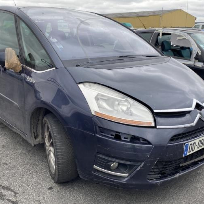 Porte arriere droit CITROEN C4 PICASSO 1 Photo n°9