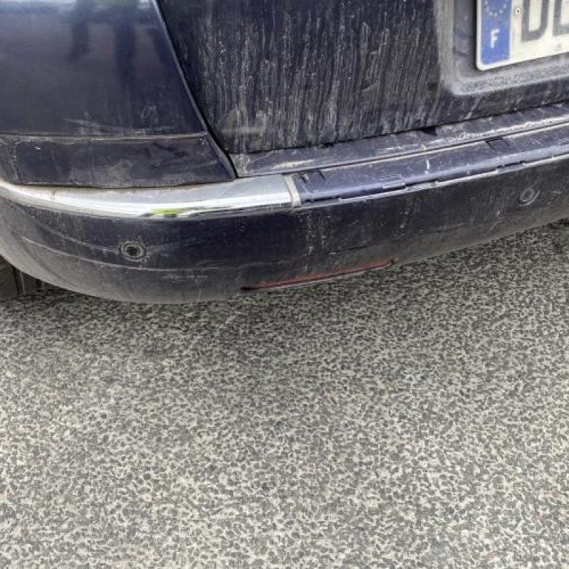 Porte arriere droit CITROEN C4 PICASSO 1 Photo n°13