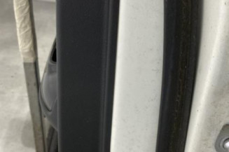 Porte arriere gauche NISSAN JUKE 1