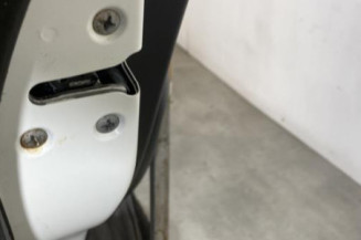 Porte arriere gauche NISSAN JUKE 1