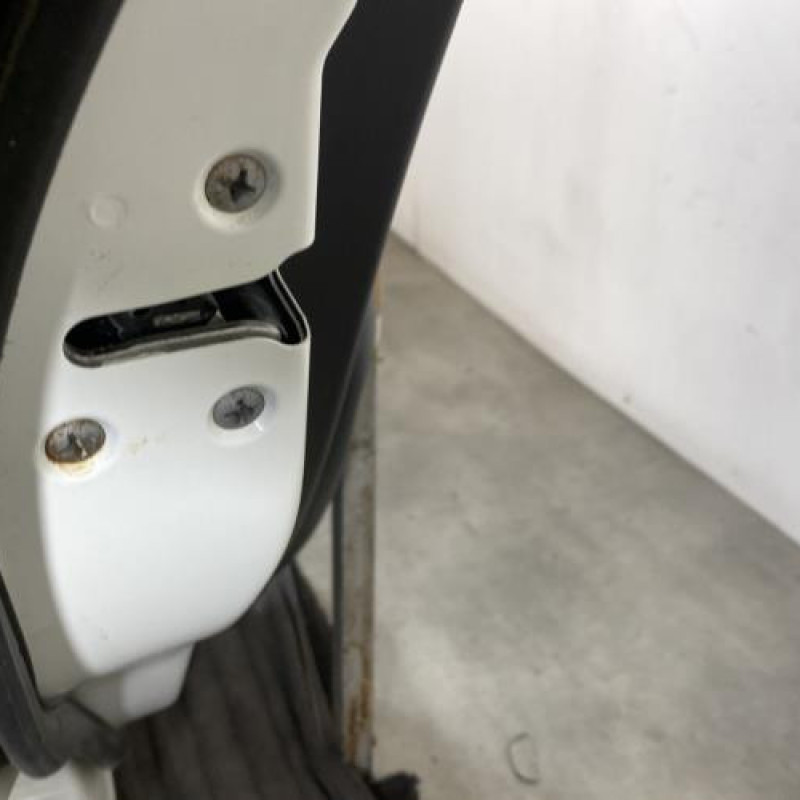Porte arriere gauche NISSAN JUKE 1 Photo n°4