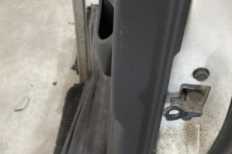 Porte arriere gauche NISSAN JUKE 1