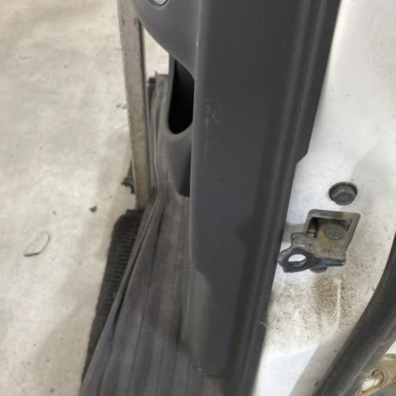 Porte arriere gauche NISSAN JUKE 1 Photo n°6