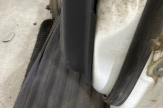 Porte arriere gauche NISSAN JUKE 1