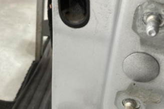 Porte avant gauche RENAULT LAGUNA 3