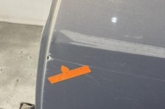 Porte arriere gauche RENAULT MEGANE 2