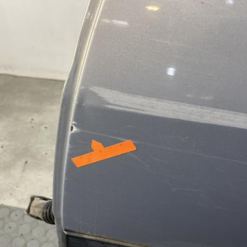 Porte arriere gauche RENAULT MEGANE 2 Photo n°3
