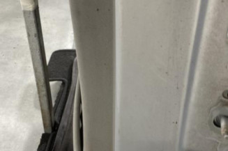 Porte arriere gauche RENAULT MEGANE 2