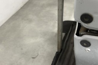 Porte avant droit RENAULT SCENIC 3