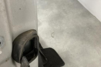 Porte avant droit RENAULT SCENIC 3