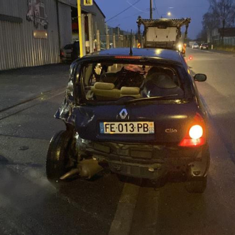 Baguette de porte avant gauche RENAULT CLIO 2 Photo n°9