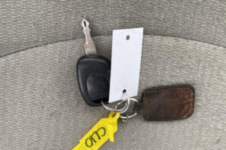 Baguette de porte avant gauche RENAULT CLIO 2