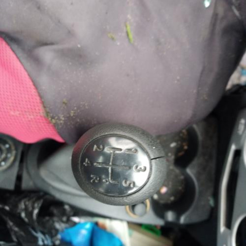 Porte arriere droit DACIA LOGAN 1 Photo n°14