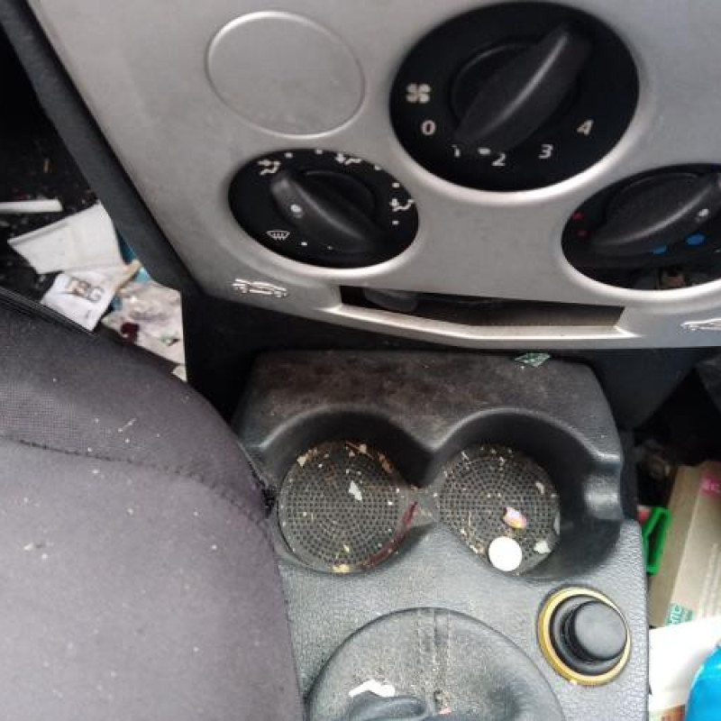 Porte arriere droit DACIA LOGAN 1 Photo n°16