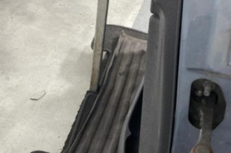 Porte avant gauche PEUGEOT 206