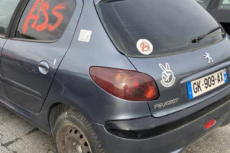 Porte avant gauche PEUGEOT 206