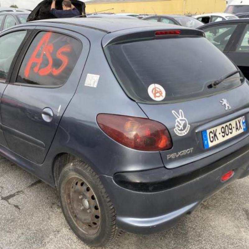 Porte avant gauche PEUGEOT 206 Photo n°8