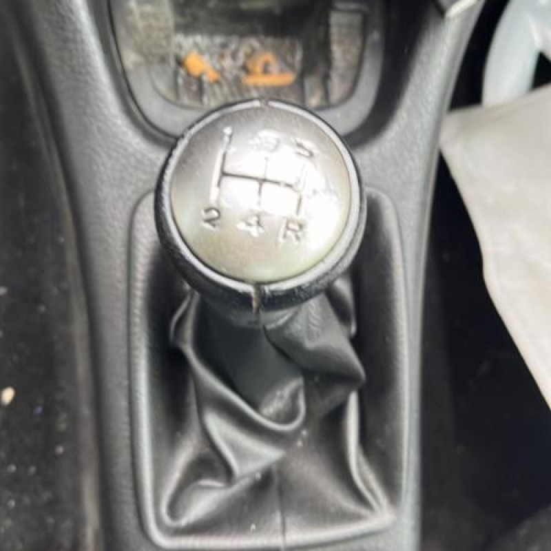 Porte avant gauche PEUGEOT 206 Photo n°10