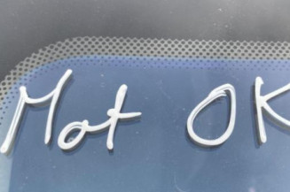 Porte avant gauche PEUGEOT 206