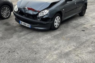 Porte avant gauche PEUGEOT 206
