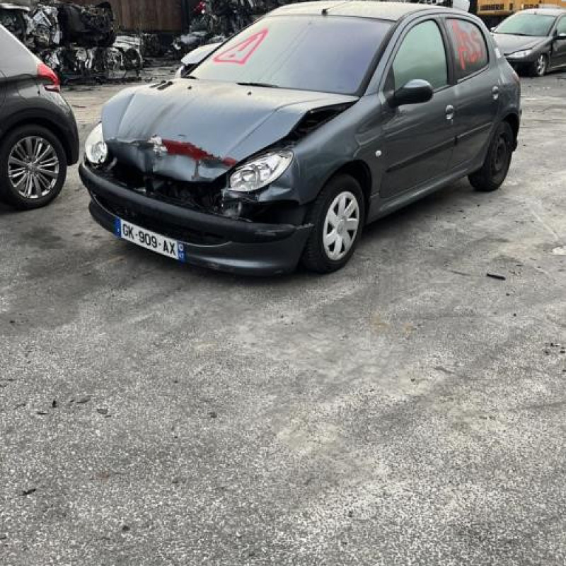 Porte avant gauche PEUGEOT 206 Photo n°15