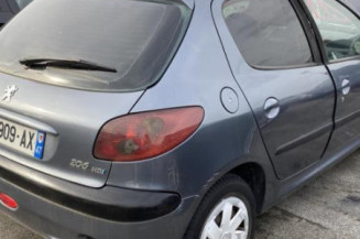 Porte avant gauche PEUGEOT 206