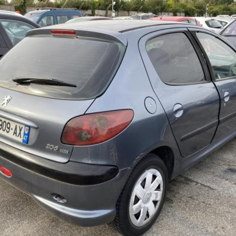 Porte avant gauche PEUGEOT 206 Photo n°16