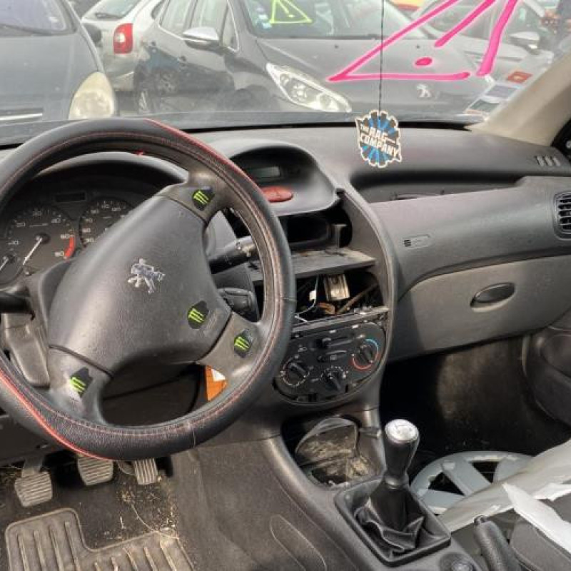 Porte avant gauche PEUGEOT 206 Photo n°19