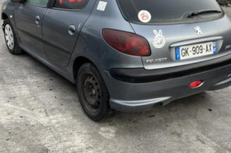 Porte avant gauche PEUGEOT 206