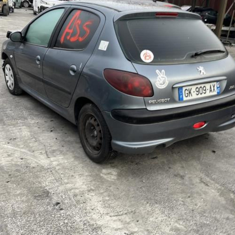 Porte avant gauche PEUGEOT 206 Photo n°20