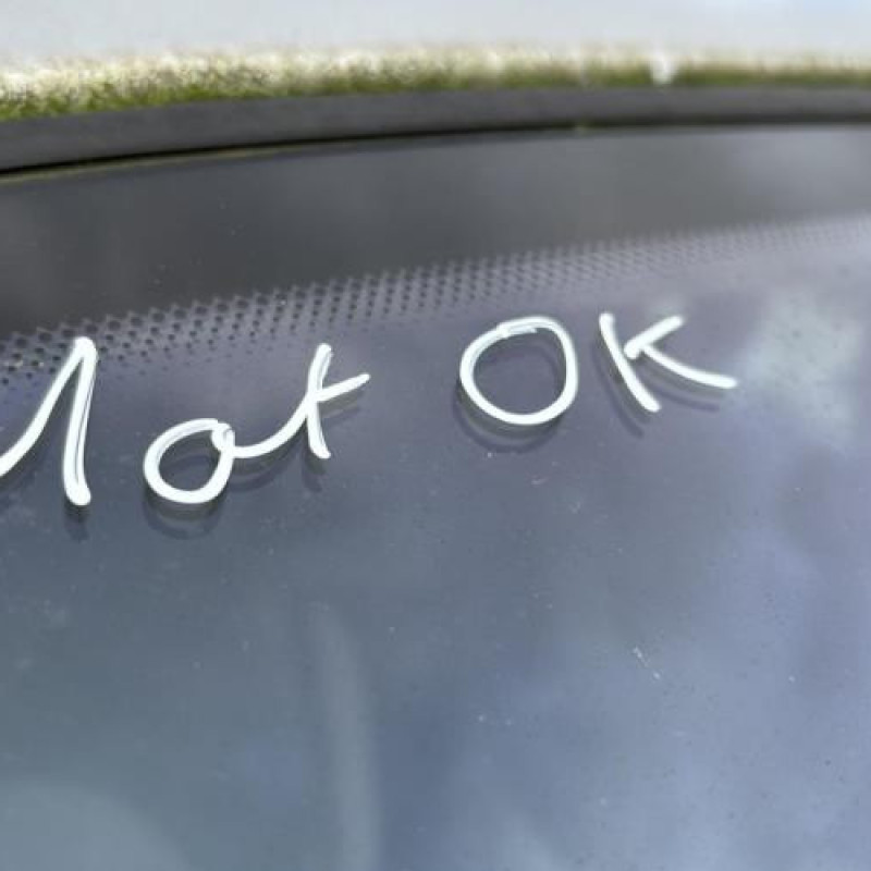 Feu arriere principal droit (feux) CITROEN XSARA PICASSO Photo n°17